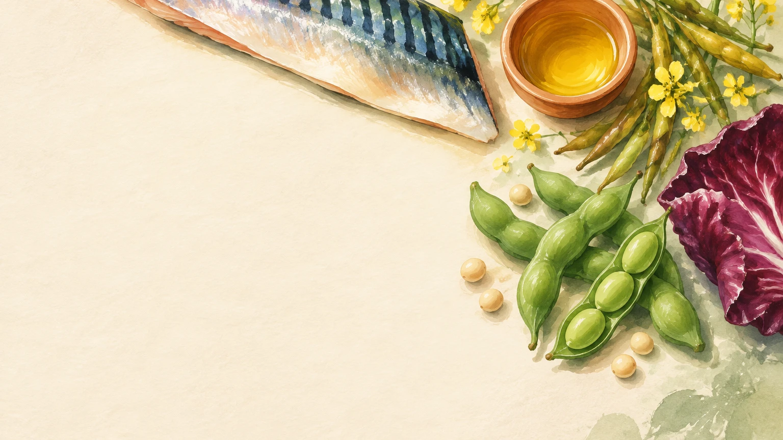 Hand-painted illustration of mackerel, rapeseed oil, rapeseed pods, edamame and red cabbage.